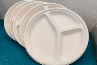 紙皿　5枚セット